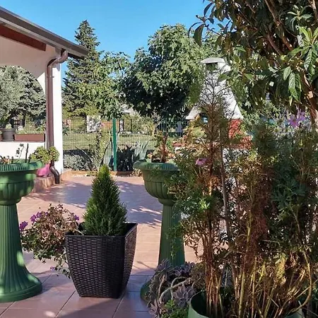 In - Istrien 38416 Apartament Pula